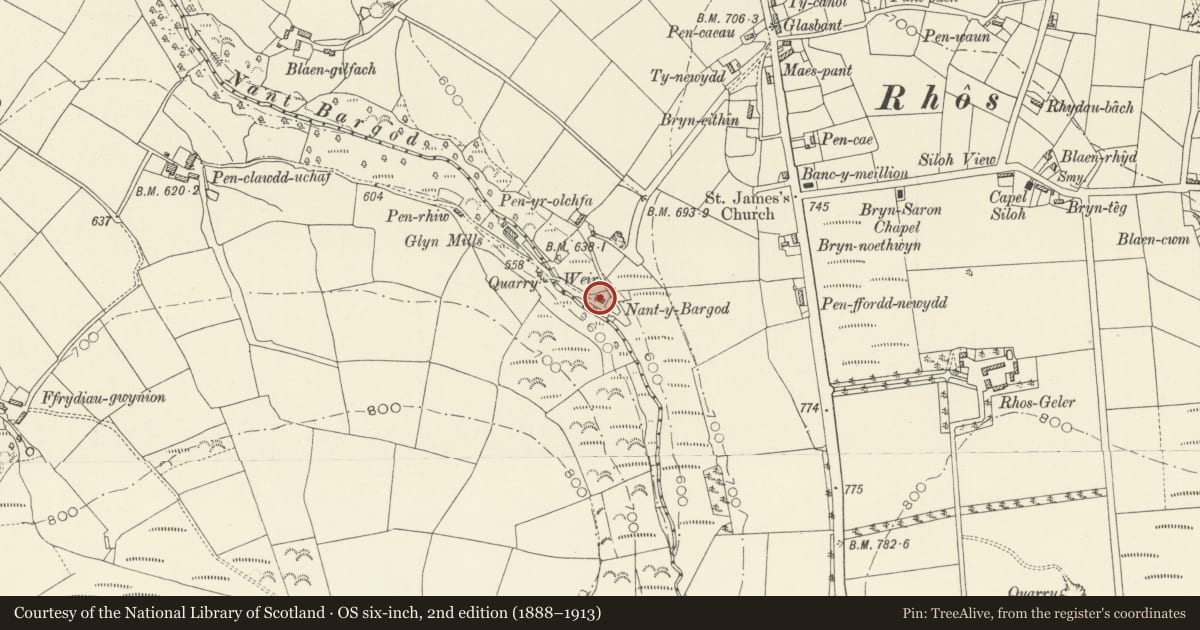 Ordnance Survey six-inch map, 2nd edition (1888–1913) covering the location of Nantybargod, Llangeler, Carmarthenshire, with a pin at the register's coordinates