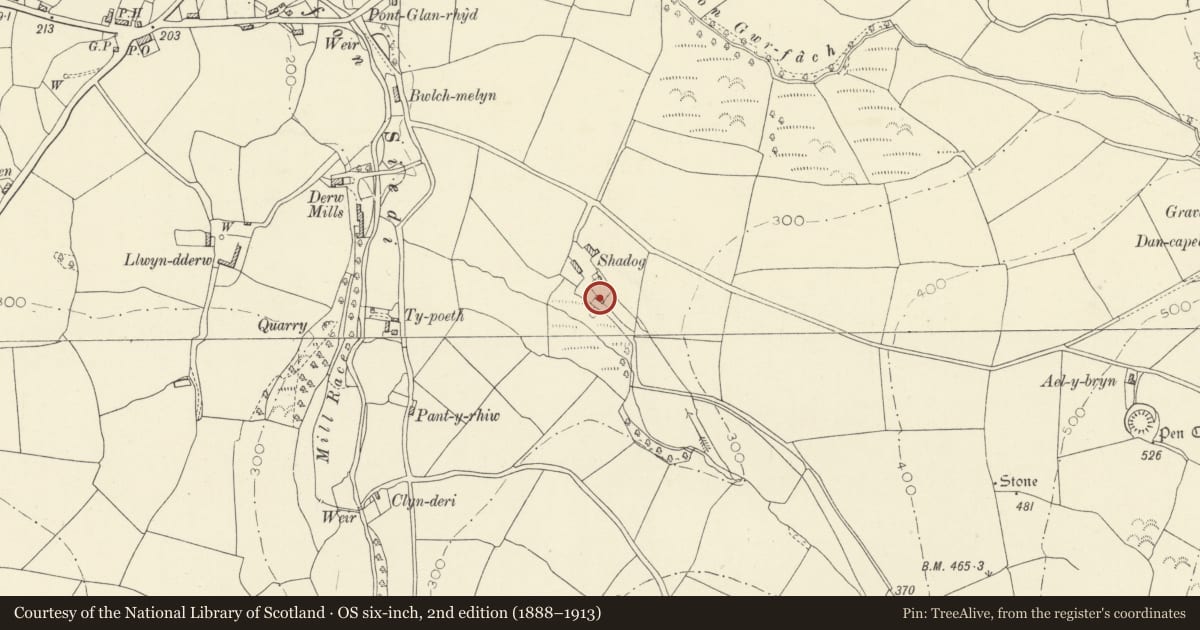 Ordnance Survey six-inch map, 2nd edition (1888–1913) covering the location of Outbuilding at Shadog Farm, Llangeler, Carmarthenshire, with a pin at the register's coordinates