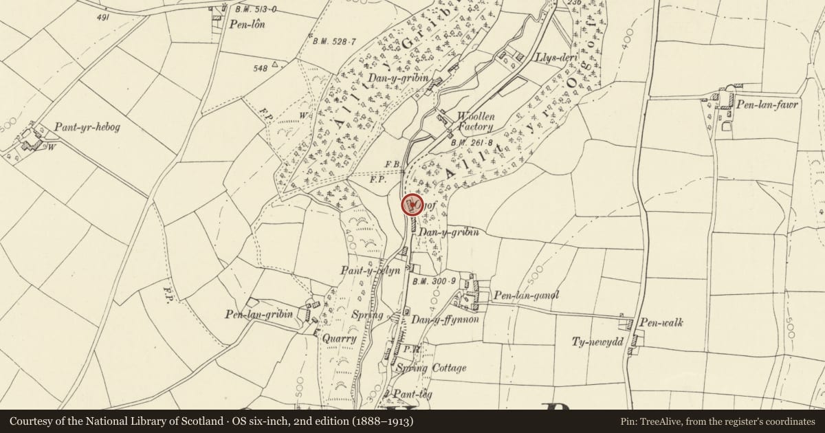 Ordnance Survey six-inch map, 2nd edition (1888–1913) covering the location of Ogof Cottage including attached workshop to N., Llangeler, Carmarthenshire, with a pin at the register's coordinates