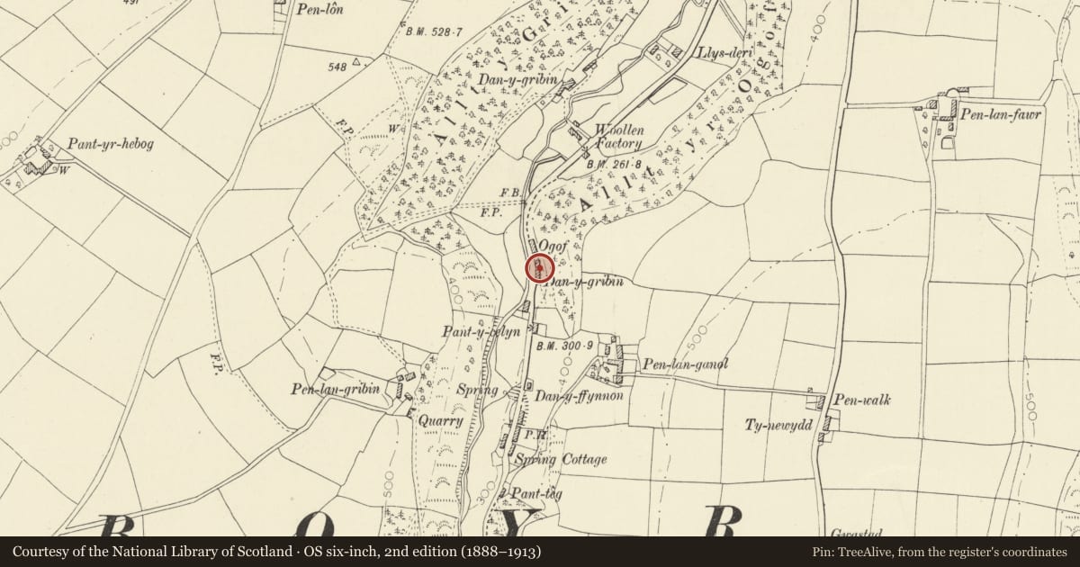 Ordnance Survey six-inch map, 2nd edition (1888–1913) covering the location of Former Ogof Weaving Shed, Llangeler, Carmarthenshire, with a pin at the register's coordinates
