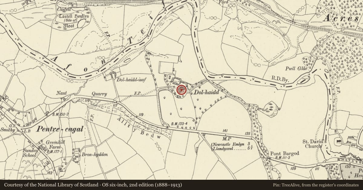 Ordnance Survey six-inch map, 2nd edition (1888–1913) covering the location of Dolhaidd Mansion, Llangeler, Carmarthenshire, with a pin at the register's coordinates