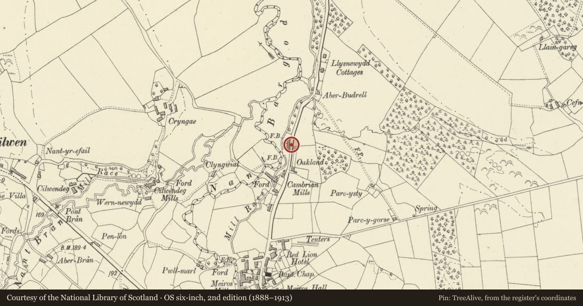 Ordnance Survey six-inch map, 2nd edition (1888–1913) covering the location of Llwynbrain, including attached range to the N, Llangeler, Carmarthenshire, with a pin at the register's coordinates