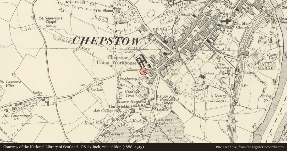Ordnance Survey six-inch map, 2nd edition (1888–1913) covering the location of Birchfield House, Chepstow, Monmouthshire, with a pin at the register's coordinates