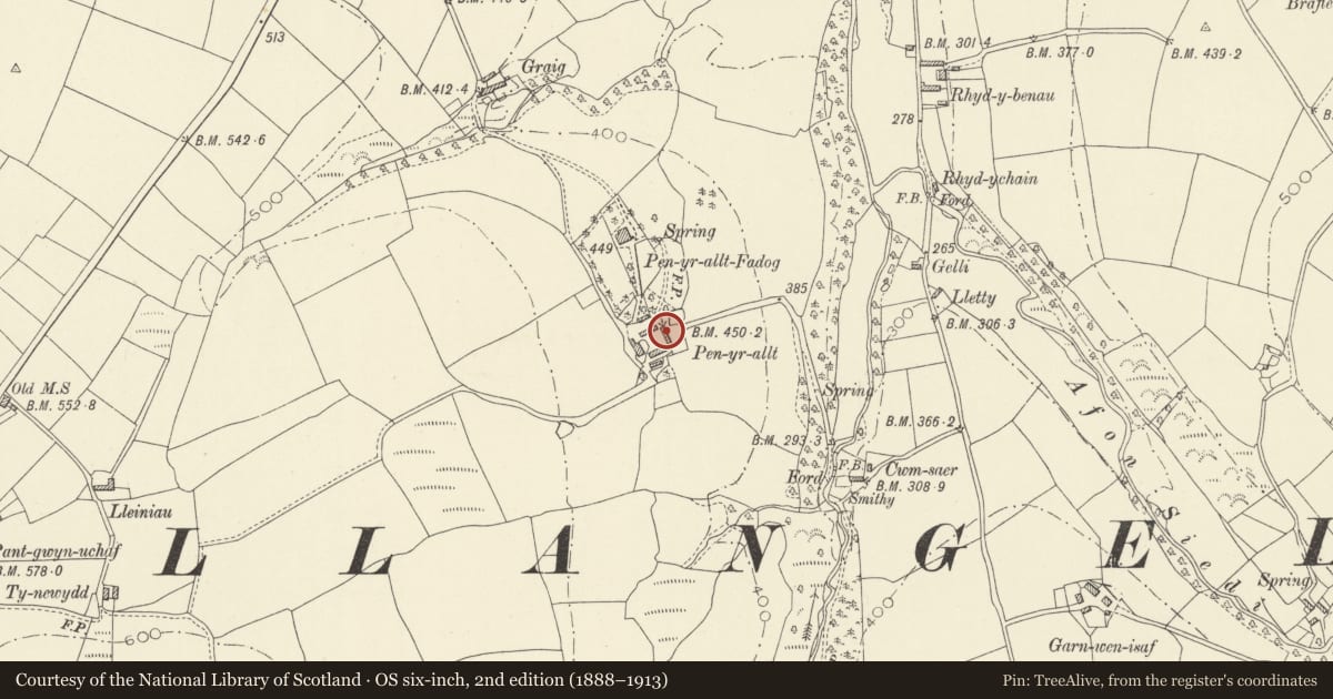 Ordnance Survey six-inch map, 2nd edition (1888–1913) covering the location of E range of outbuildings at Penyrallt Home Farm, Llangeler, Carmarthenshire, with a pin at the register's coordinates