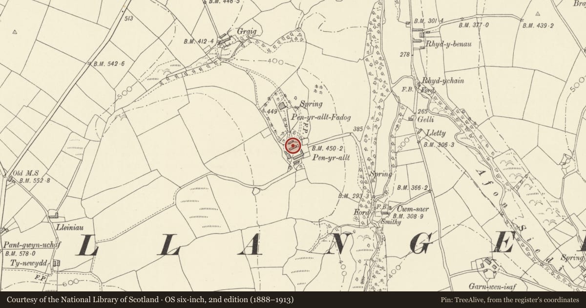 Ordnance Survey six-inch map, 2nd edition (1888–1913) covering the location of N range of outbuildings at Penyrallt Home Farm, Llangeler, Carmarthenshire, with a pin at the register's coordinates
