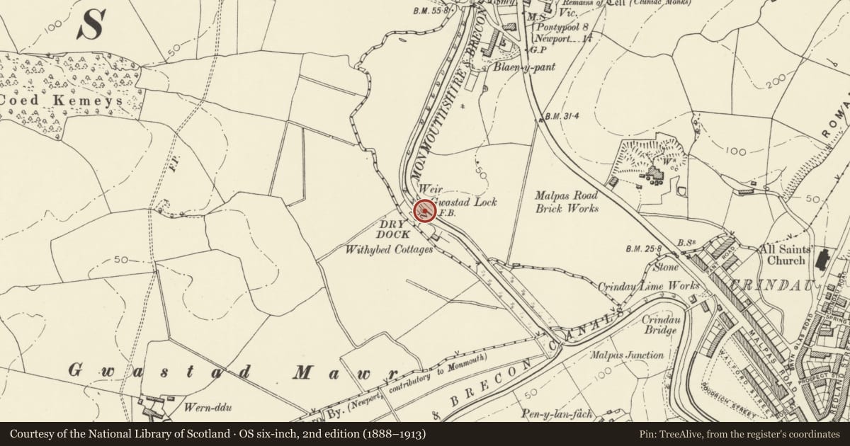 Ordnance Survey six-inch map, 2nd edition (1888–1913) covering the location of Gwastad Bridge over the Monmouthshire and Brecon Canal and Lock (partly in Bettws community), Shaftesbury, Newport, with a pin at the register's coordinates