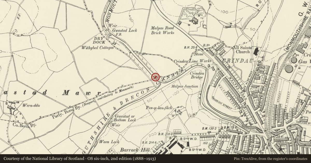 Ordnance Survey six-inch map, 2nd edition (1888–1913) covering the location of Aqueduct over Malpas Brook, Monmouthshire and Brecon Canal (partly in Bettws Community), Shaftesbury, Newport, with a pin at the register's coordinates