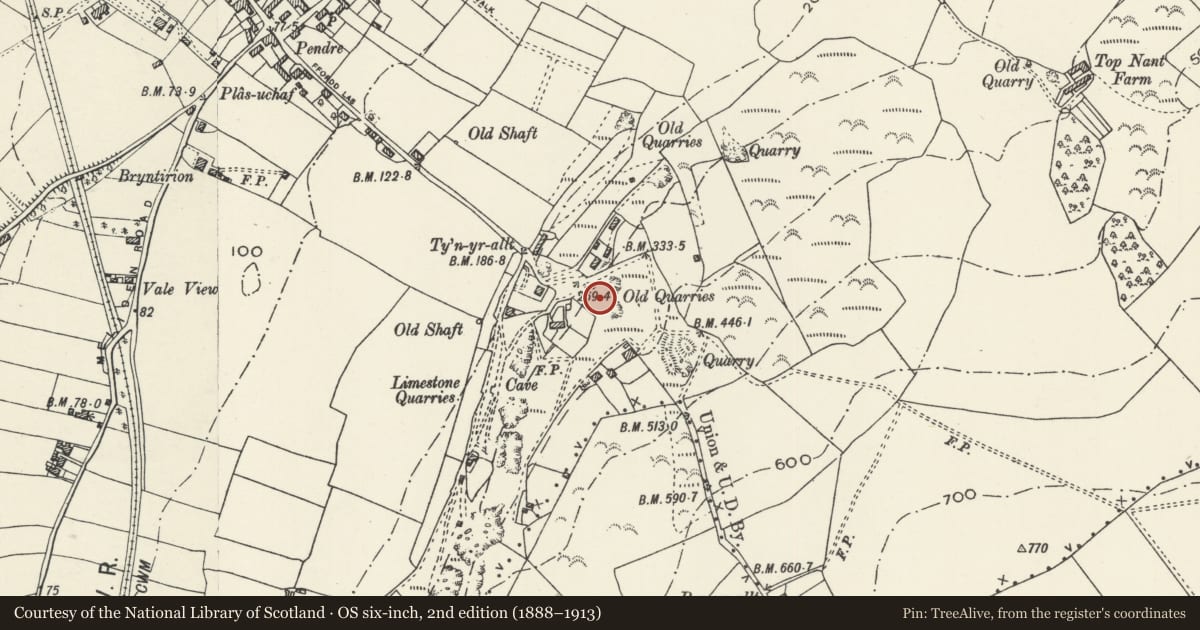 Ordnance Survey six-inch map, 2nd edition (1888–1913) covering the location of Hillside Gardens Shelter, Prestatyn, Denbighshire, with a pin at the register's coordinates