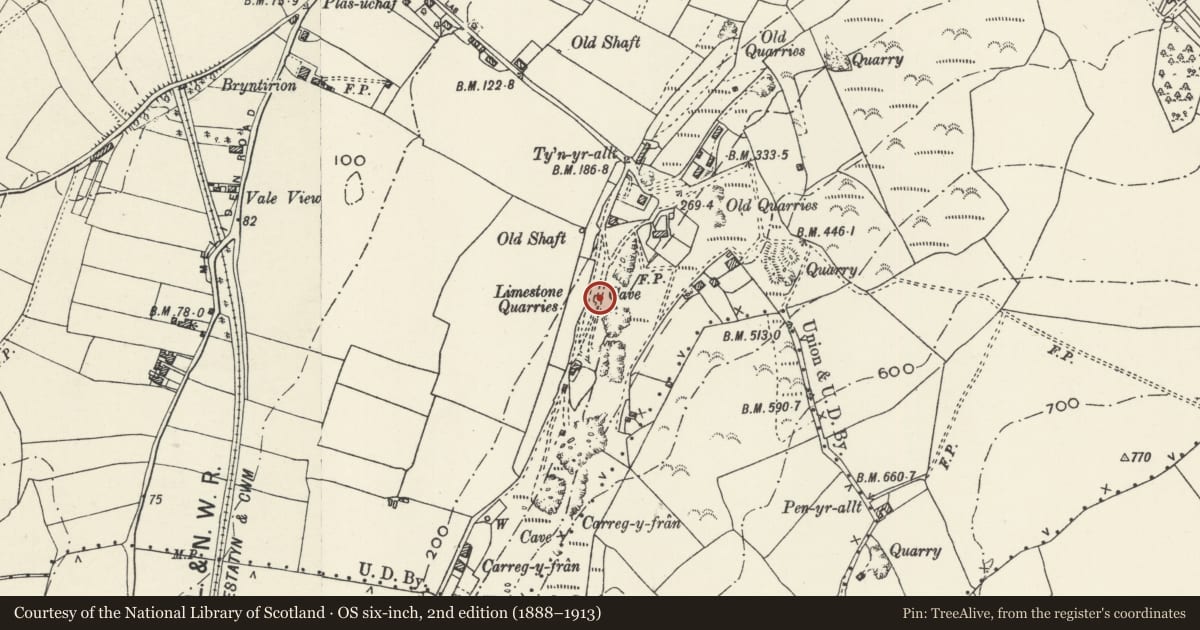 Ordnance Survey six-inch map, 2nd edition (1888–1913) covering the location of Limekiln, Prestatyn, Denbighshire, with a pin at the register's coordinates
