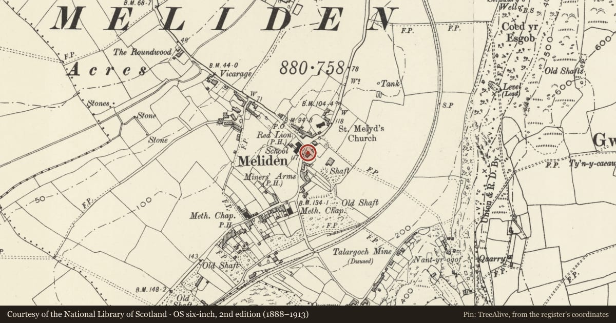 Ordnance Survey six-inch map, 2nd edition (1888–1913) covering the location of Mountain Ash, Prestatyn, Denbighshire, with a pin at the register's coordinates