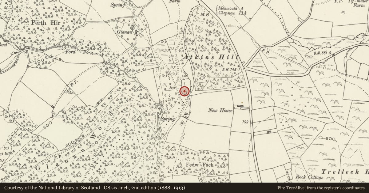 Ordnance Survey six-inch map, 2nd edition (1888–1913) covering the location of Greenhouse at High Glanau, Mitchel Troy, Monmouthshire, with a pin at the register's coordinates