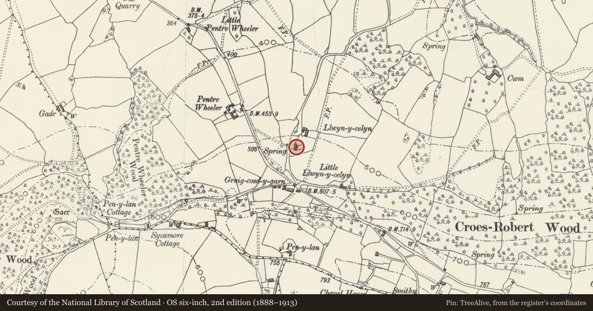 Ordnance Survey six-inch map, 2nd edition (1888–1913) covering the location of Llwyn-celen Farmhouse, Mitchel Troy, Monmouthshire, with a pin at the register's coordinates