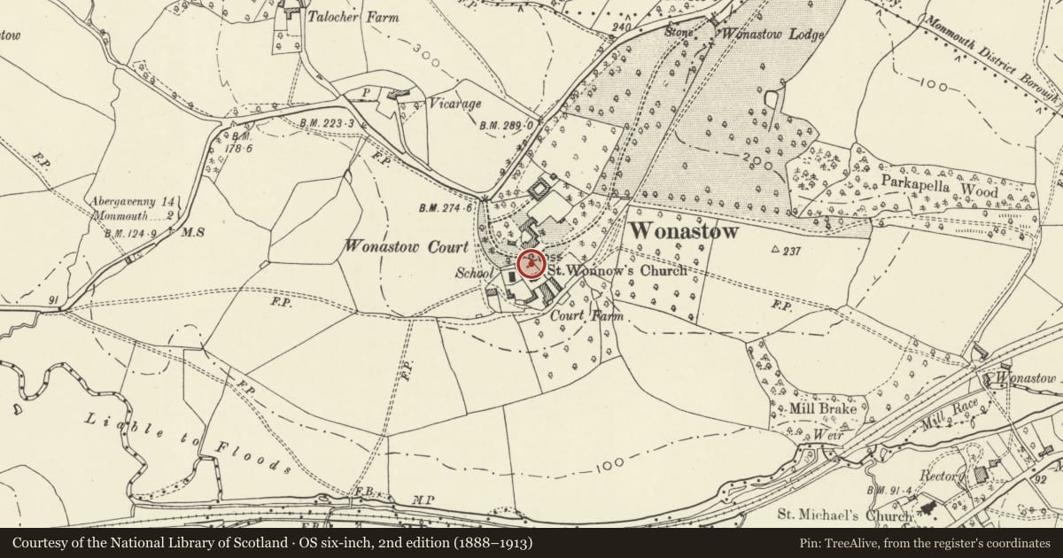 Ordnance Survey six-inch map, 2nd edition (1888–1913) covering the location of Cross in St Wonnow's churchyard, Mitchel Troy, Monmouthshire, with a pin at the register's coordinates
