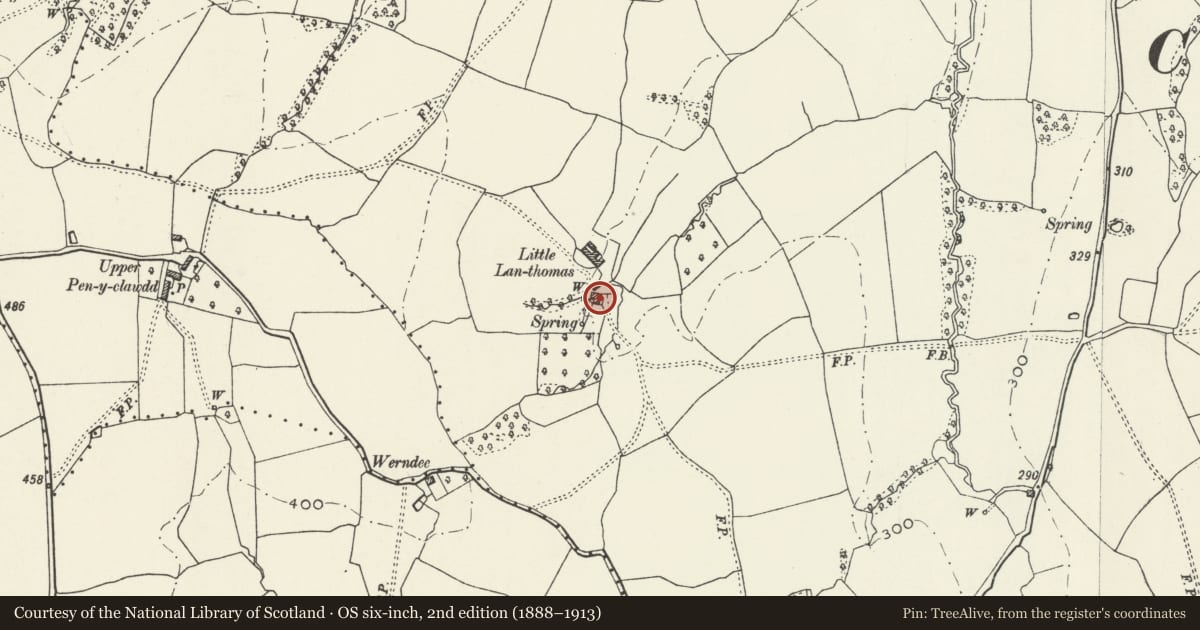 Ordnance Survey six-inch map, 2nd edition (1888–1913) covering the location of Little Llanthomas, Mitchel Troy, Monmouthshire, with a pin at the register's coordinates
