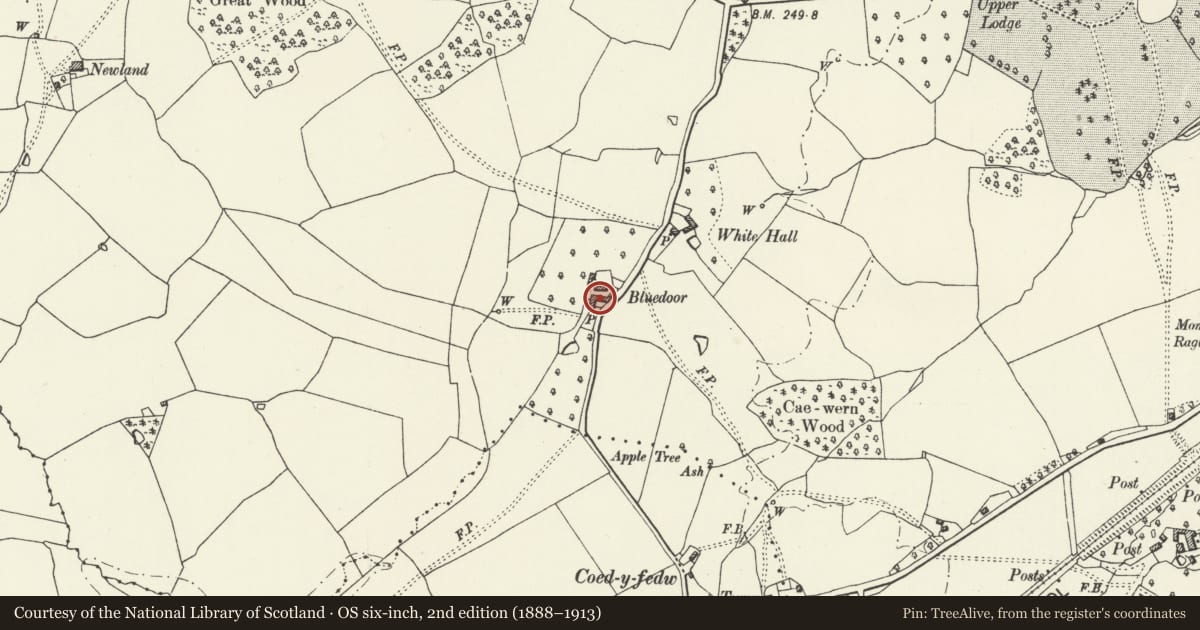 Ordnance Survey six-inch map, 2nd edition (1888–1913) covering the location of Blue Door Farmhouse, Mitchel Troy, Monmouthshire, with a pin at the register's coordinates