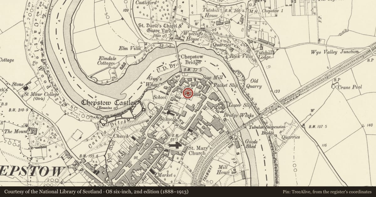 Ordnance Survey six-inch map, 2nd edition (1888–1913) covering the location of 9-12 (consec) St Ann Street including forecourt railings, Chepstow, Monmouthshire, with a pin at the register's coordinates
