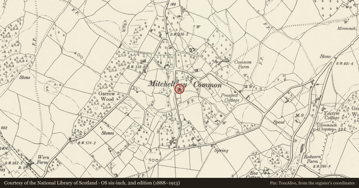 Ordnance Survey six-inch map, 2nd edition (1888–1913) covering the location of The Great House, Mitchel Troy, Monmouthshire, with a pin at the register's coordinates
