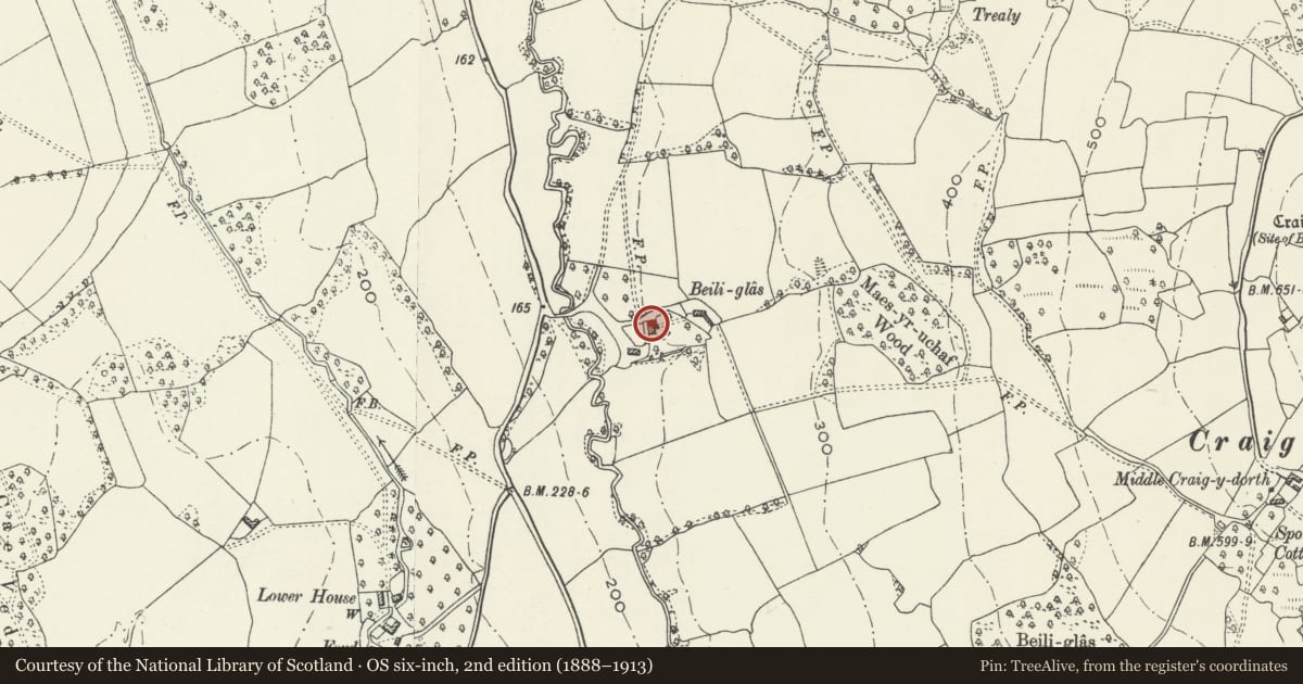 Ordnance Survey six-inch map, 2nd edition (1888–1913) covering the location of Bailey Glace, Mitchel Troy, Monmouthshire, with a pin at the register's coordinates