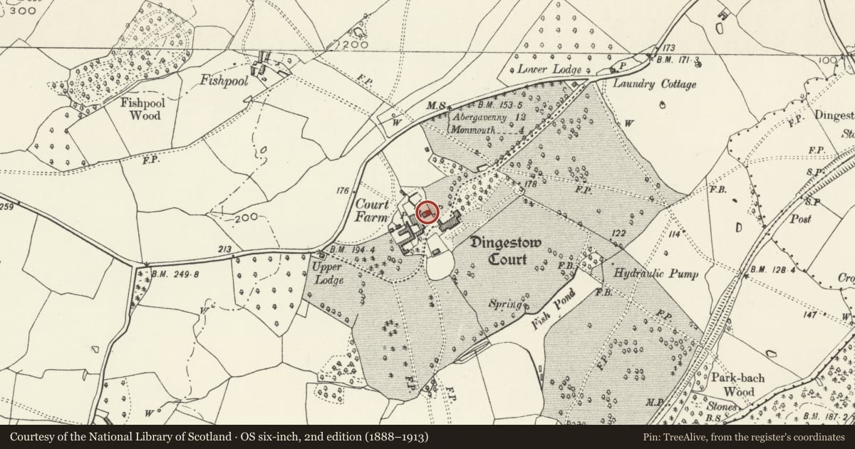 Ordnance Survey six-inch map, 2nd edition (1888–1913) covering the location of Seddon House School at Dingestow Court, Mitchel Troy, Monmouthshire, with a pin at the register's coordinates