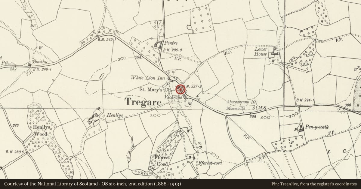 Ordnance Survey six-inch map, 2nd edition (1888–1913) covering the location of Cross in churchyard of the church of St Mary, Mitchel Troy, Monmouthshire, with a pin at the register's coordinates