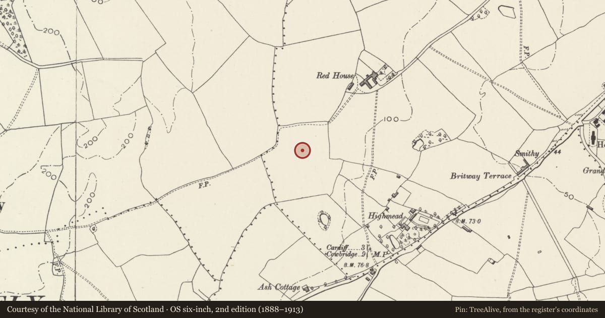 Ordnance Survey six-inch map, 2nd edition (1888–1913) covering the location of Church of the Resurrection, Ely, Cardiff, with a pin at the register's coordinates