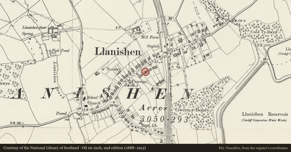 Ordnance Survey six-inch map, 2nd edition (1888–1913) covering the location of The Hollies including former coach-house range, Llanishen, Cardiff, with a pin at the register's coordinates