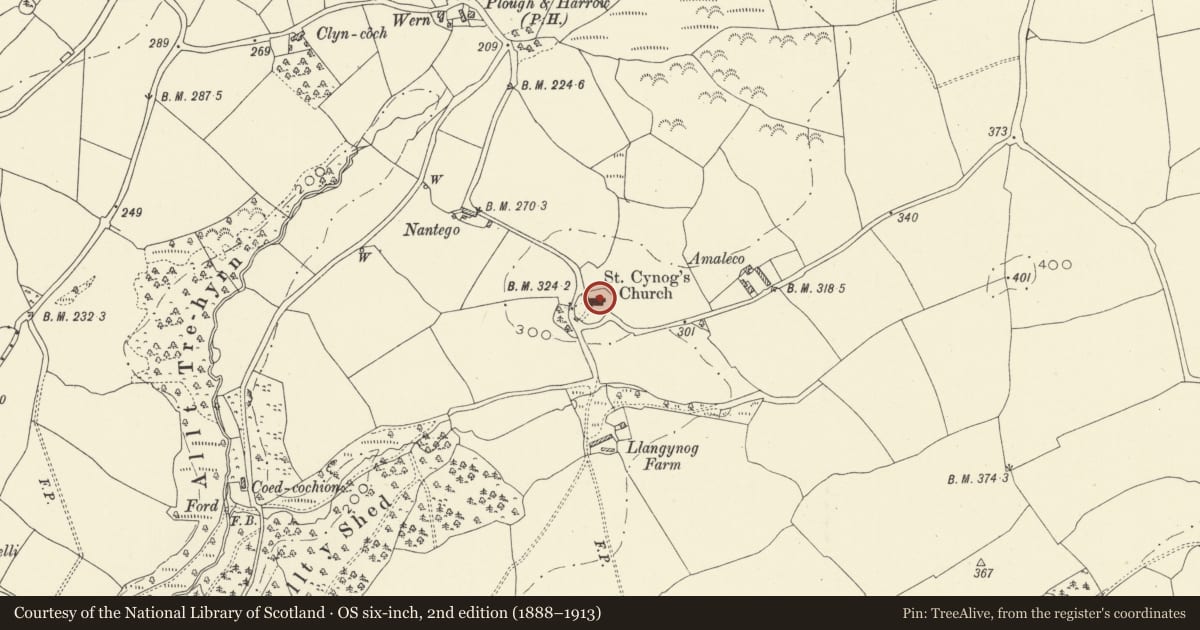 Ordnance Survey six-inch map, 2nd edition (1888–1913) covering the location of Church of St Cynog, Llangynog, Carmarthenshire, with a pin at the register's coordinates