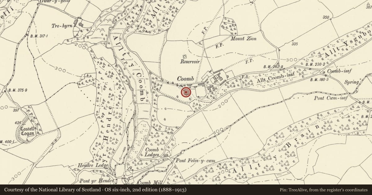 Ordnance Survey six-inch map, 2nd edition (1888–1913) covering the location of Coomb Cheshire Home, Llangynog, Carmarthenshire, with a pin at the register's coordinates