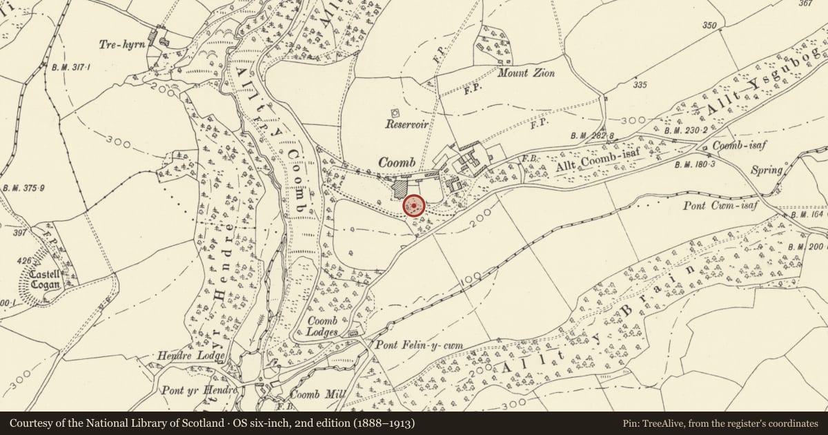 Ordnance Survey six-inch map, 2nd edition (1888–1913) covering the location of Terrace walls and steps at Coomb Cheshire Home, Llangynog, Carmarthenshire, with a pin at the register's coordinates