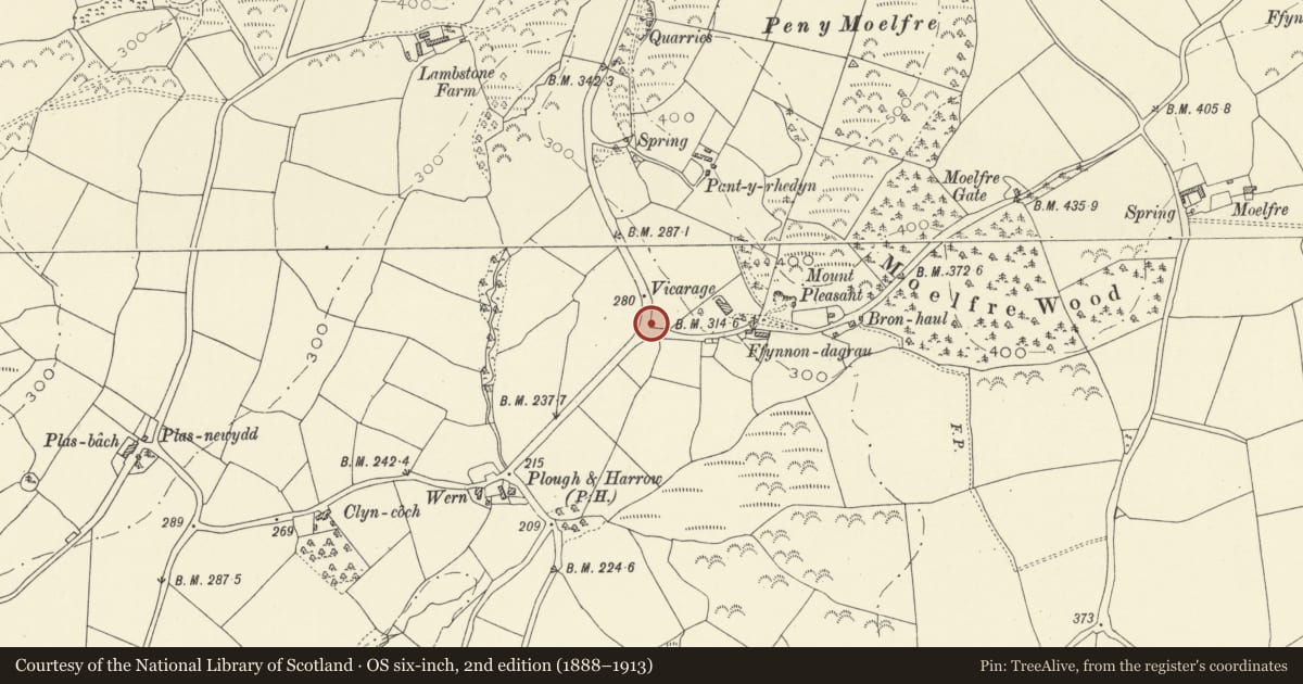 Ordnance Survey six-inch map, 2nd edition (1888–1913) covering the location of War Memorial Cross, Llangynog, Carmarthenshire, with a pin at the register's coordinates