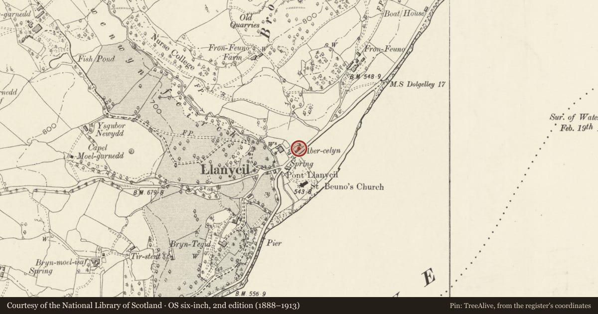 Ordnance Survey six-inch map, 2nd edition (1888–1913) covering the location of Barn opposite St Beuno's Parish Church, Llanycil, Gwynedd, with a pin at the register's coordinates