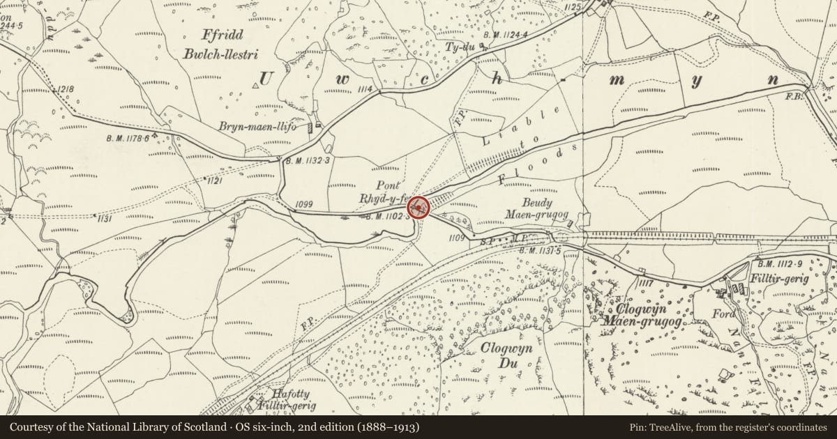 Ordnance Survey six-inch map, 2nd edition (1888–1913) covering the location of Pont Rhyd-y-Fen, Llanycil, Gwynedd, with a pin at the register's coordinates