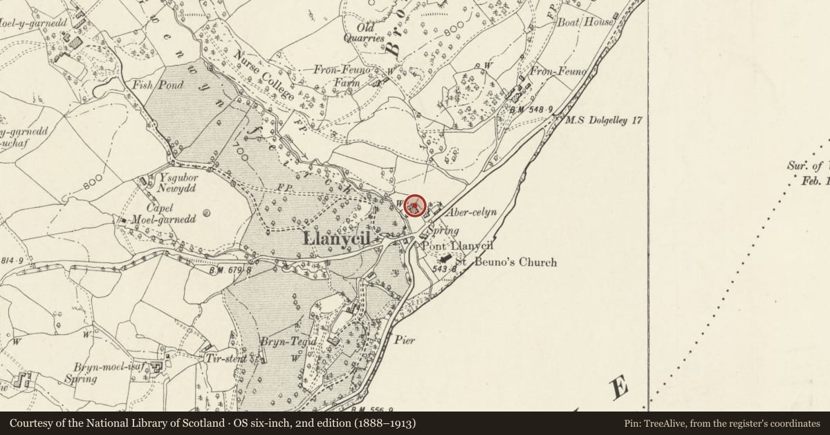 Ordnance Survey six-inch map, 2nd edition (1888–1913) covering the location of Abercelyn, Llanycil, Gwynedd, with a pin at the register's coordinates