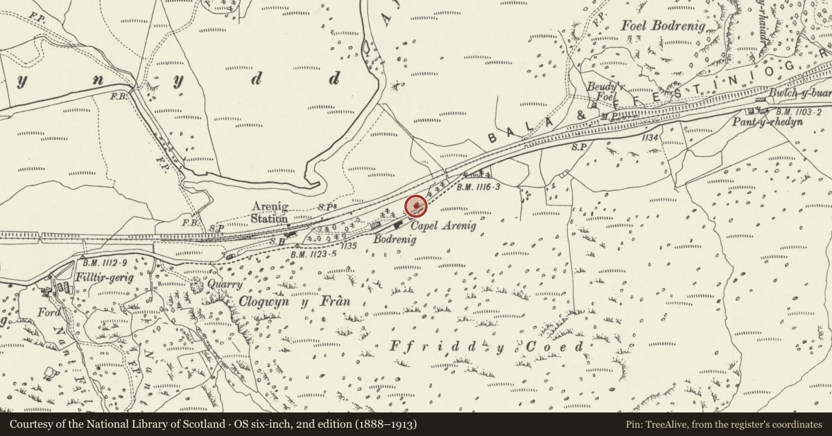 Ordnance Survey six-inch map, 2nd edition (1888–1913) covering the location of Pair of former Quarry Workers' Cottages, Llanycil, Gwynedd, with a pin at the register's coordinates