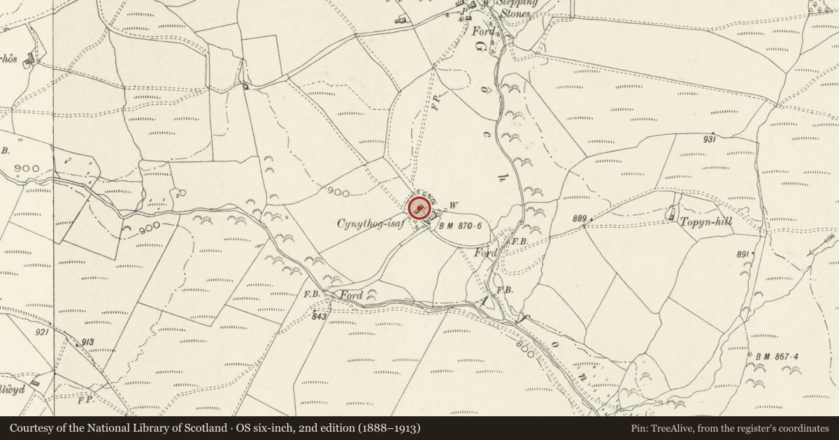 Ordnance Survey six-inch map, 2nd edition (1888–1913) covering the location of Cynthog-Isaf, Llanycil, Gwynedd, with a pin at the register's coordinates