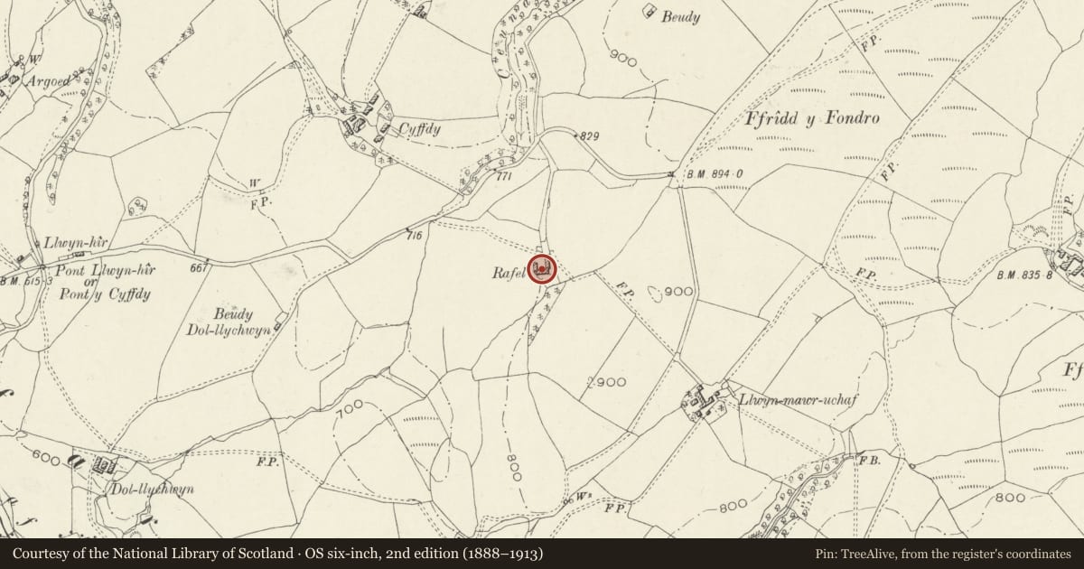 Ordnance Survey six-inch map, 2nd edition (1888–1913) covering the location of Rafel, Llanycil, Gwynedd, with a pin at the register's coordinates