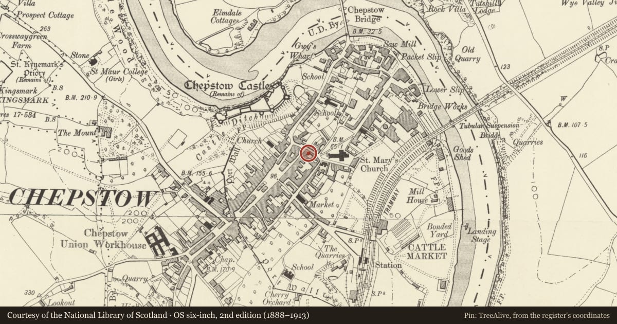 Ordnance Survey six-inch map, 2nd edition (1888–1913) covering the location of 14 St Mary Street, Chepstow, Monmouthshire, with a pin at the register's coordinates