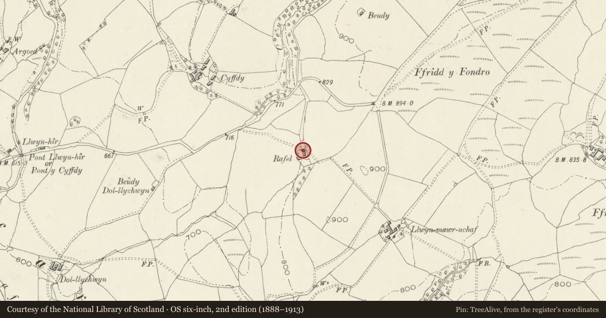 Ordnance Survey six-inch map, 2nd edition (1888–1913) covering the location of Barn at Rafel, Llanycil, Gwynedd, with a pin at the register's coordinates
