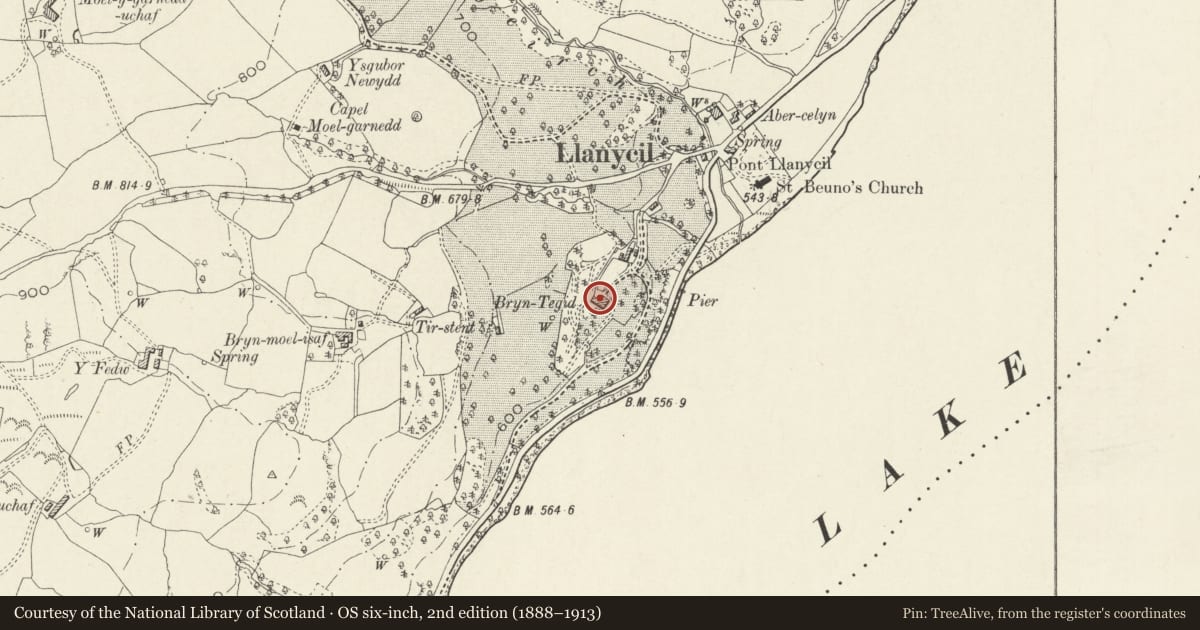 Ordnance Survey six-inch map, 2nd edition (1888–1913) covering the location of Bryn Tegid, Llanycil, Gwynedd, with a pin at the register's coordinates