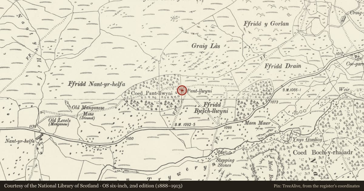 Ordnance Survey six-inch map, 2nd edition (1888–1913) covering the location of Pant Llwyni, Llanycil, Gwynedd, with a pin at the register's coordinates