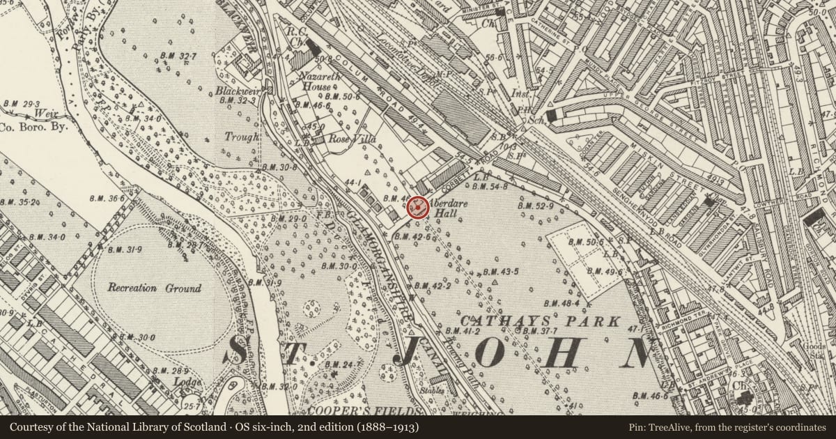 Ordnance Survey six-inch map, 2nd edition (1888–1913) covering the location of Colonnade and gateways at S end of Queen Anne Square, Cathays, Cardiff, with a pin at the register's coordinates