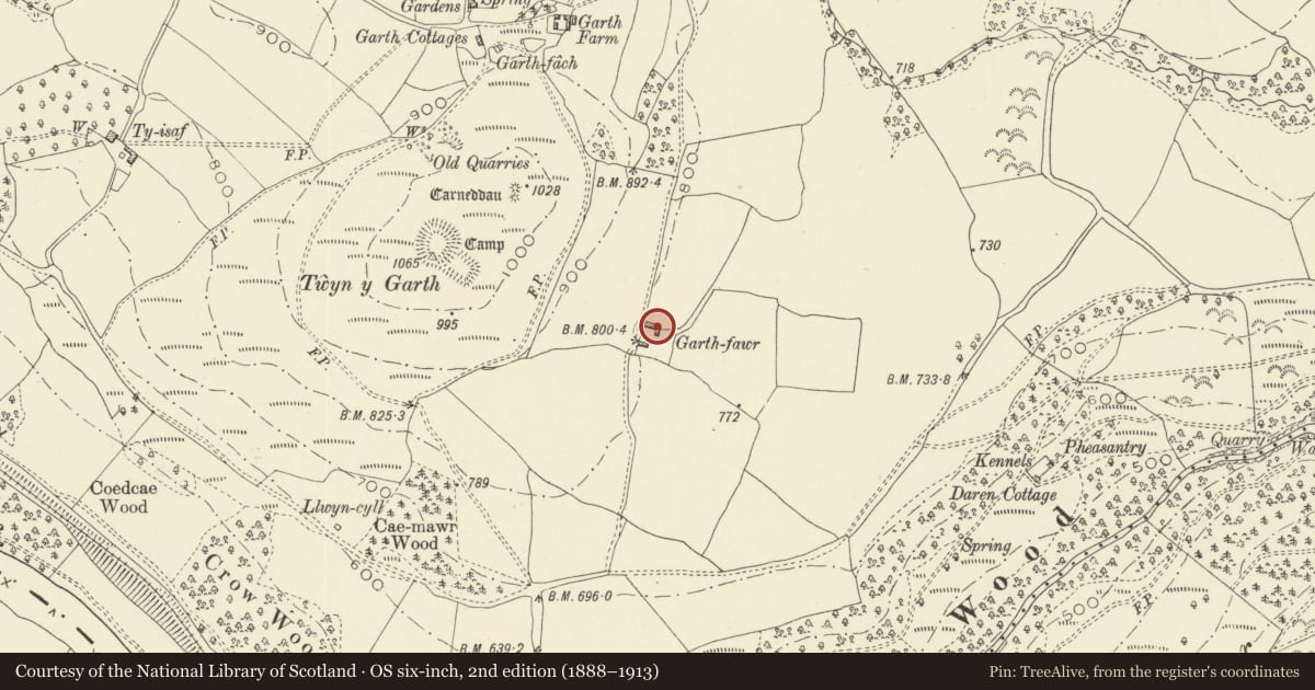 Ordnance Survey six-inch map, 2nd edition (1888–1913) covering the location of Barn/cowhouse block at Garth-fawr, Painscastle, Powys, with a pin at the register's coordinates