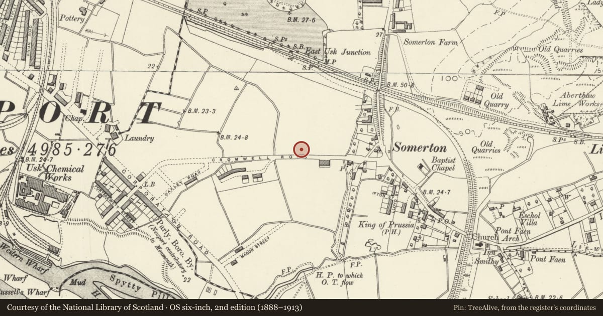 Ordnance Survey six-inch map, 2nd edition (1888–1913) covering the location of St Patrick's Roman Catholic Church, Liswerry, Newport, with a pin at the register's coordinates