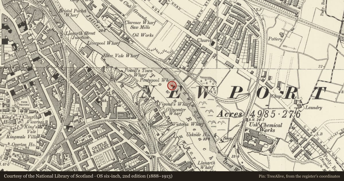 Ordnance Survey six-inch map, 2nd edition (1888–1913) covering the location of George Street Bridge, Victoria, Newport, with a pin at the register's coordinates