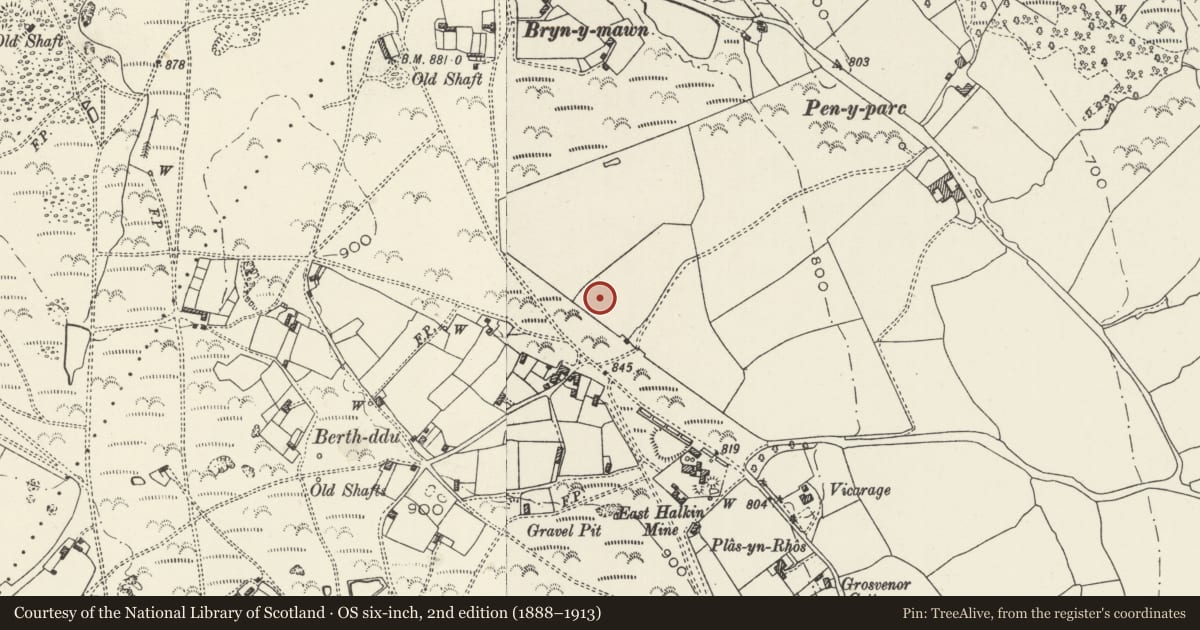 Ordnance Survey six-inch map, 2nd edition (1888–1913) covering the location of Ysgol Rhos Helyg, Halkyn, Flintshire, with a pin at the register's coordinates