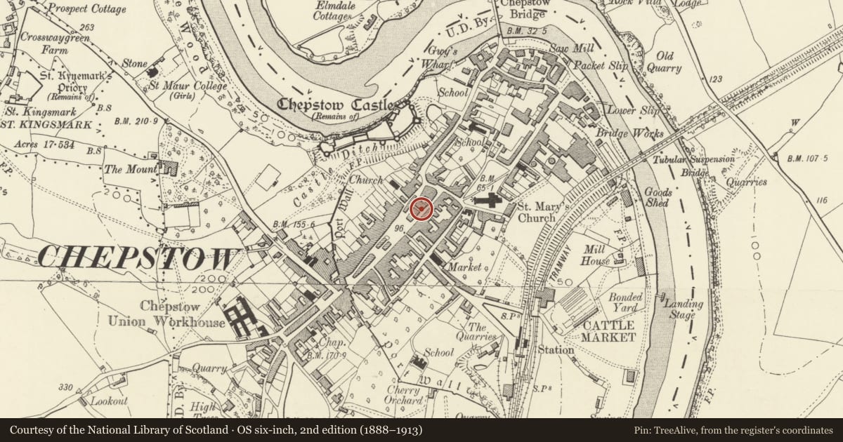 Ordnance Survey six-inch map, 2nd edition (1888–1913) covering the location of Bowsher House, Chepstow, Monmouthshire, with a pin at the register's coordinates