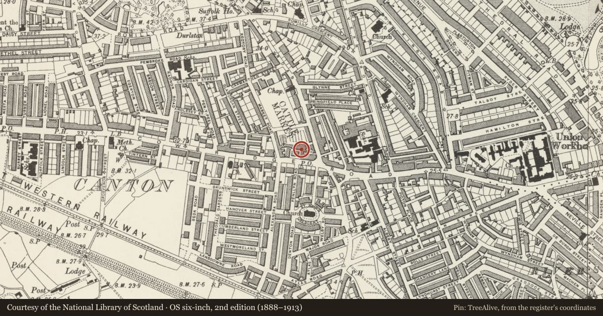 Ordnance Survey six-inch map, 2nd edition (1888–1913) covering the location of Canton Library, Cardiff, with a pin at the register's coordinates