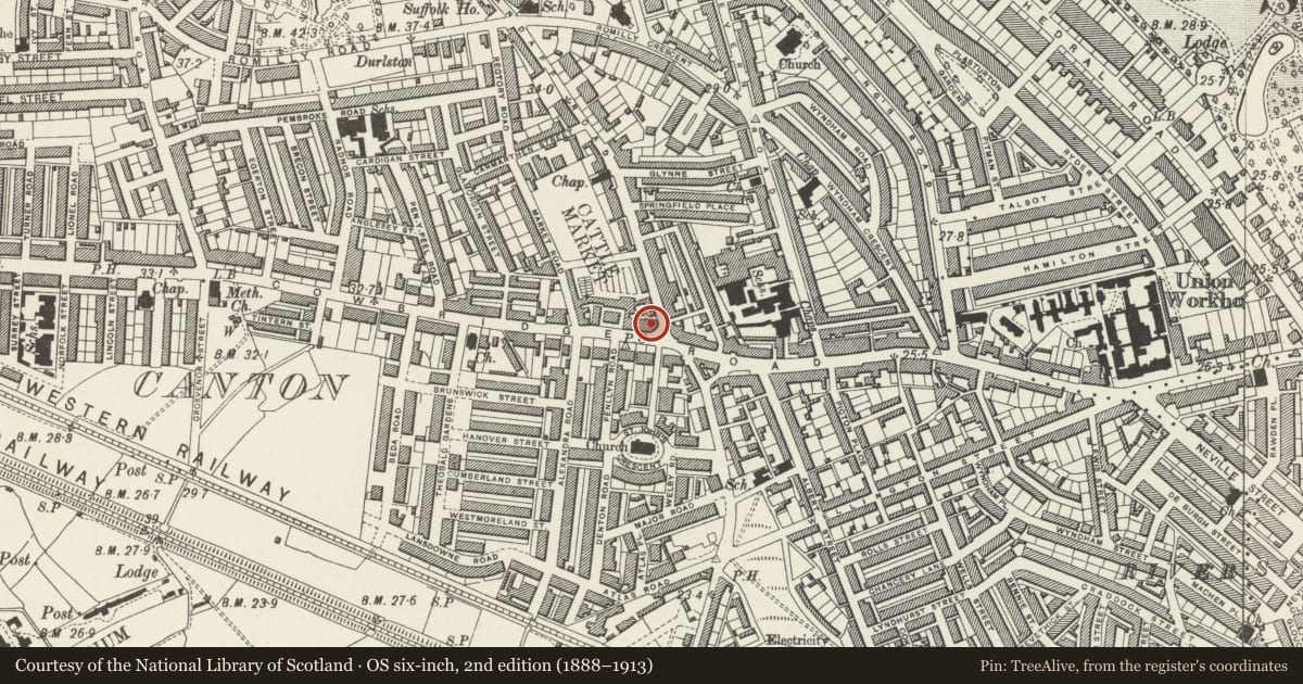 Ordnance Survey six-inch map, 2nd edition (1888–1913) covering the location of The Corporation P.H., Canton, Cardiff, with a pin at the register's coordinates