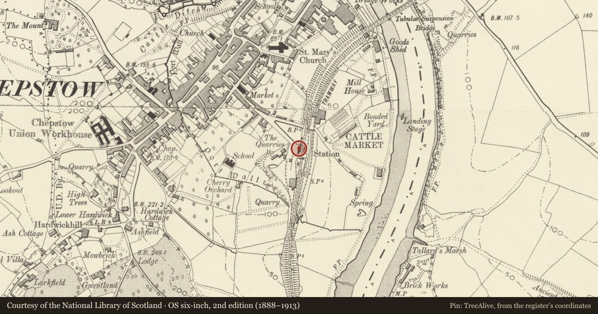 Ordnance Survey six-inch map, 2nd edition (1888–1913) covering the location of Chepstow Railway Station, Monmouthshire, with a pin at the register's coordinates