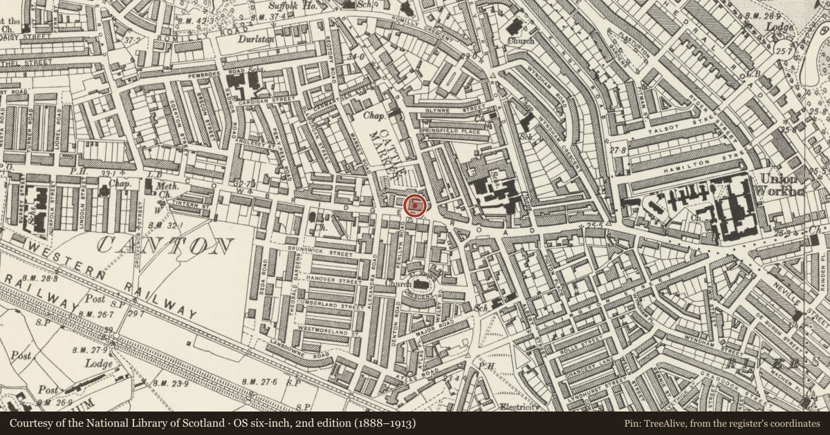 Ordnance Survey six-inch map, 2nd edition (1888–1913) covering the location of 194 Cowbridge Road East, Canton, Cardiff, with a pin at the register's coordinates